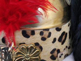 French Dragoon Helmet for sale Detail image of plume, holder turban and boss